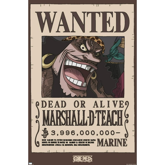 One Piece - Black Beard Wanted Poster Wall Poster, 22.375" x 34"
