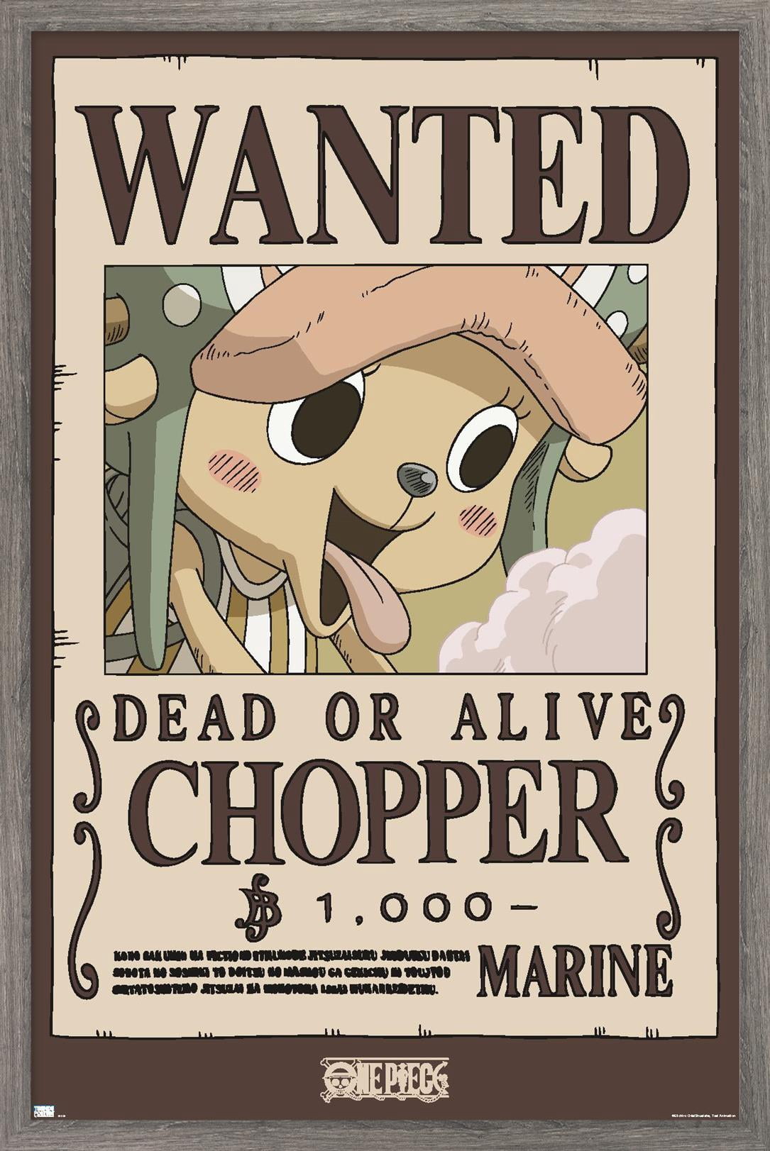 One-Piece-Chopper-Wanted-