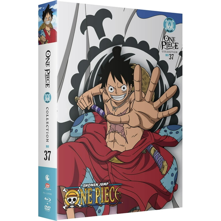 One Piece: Collection 37 (Bluray + DVD) - Walmart.com