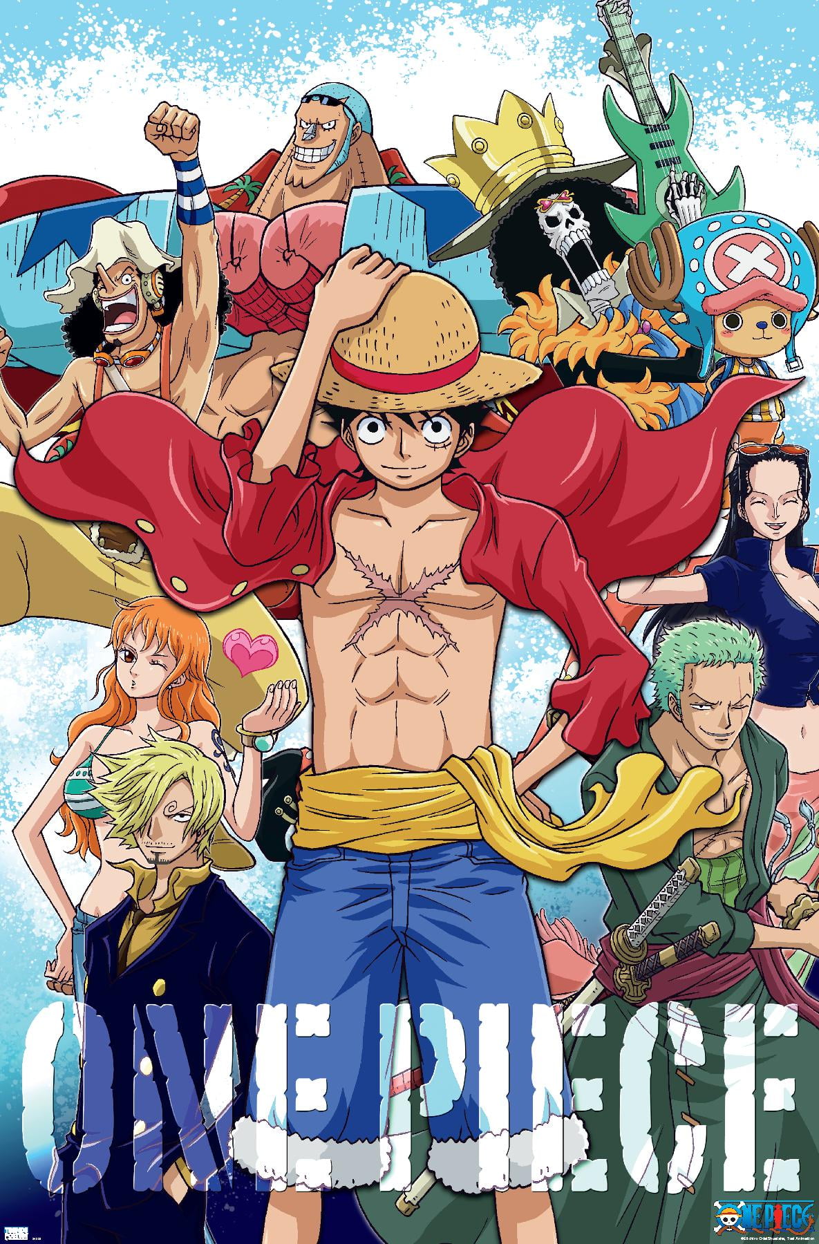 One Piece - Crew Wall Poster, 14.725