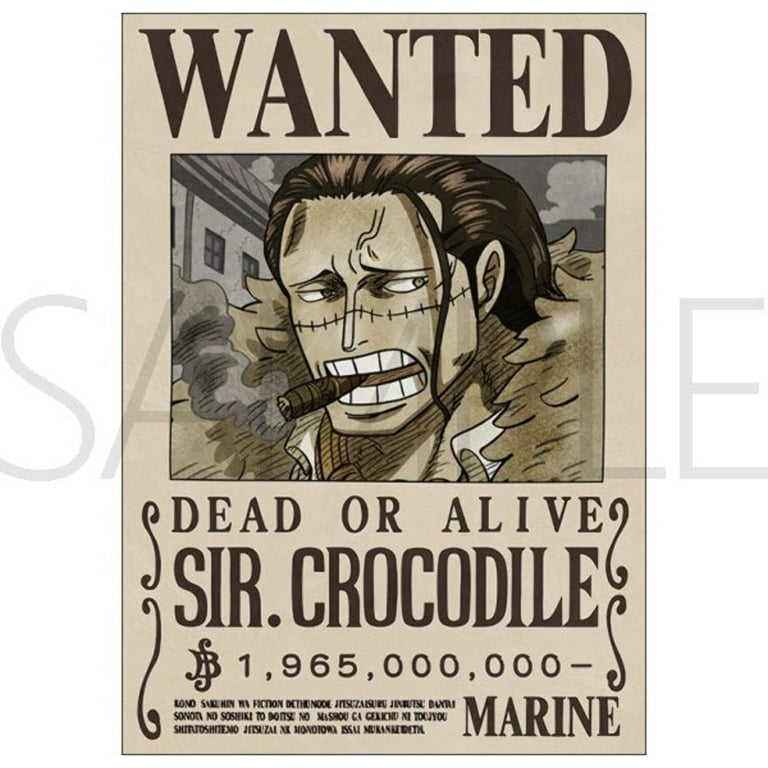ワンピース　ポスター　ONE PIECE Amazon.co.jp: One Piece – Manga/アニメTV Showポスター/印刷