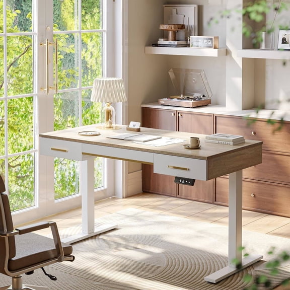 One-Piece Electric Height Adjustable Standing Desk, 47" x 24", Maple Finish, with Three Integrated Drawers for Home Office