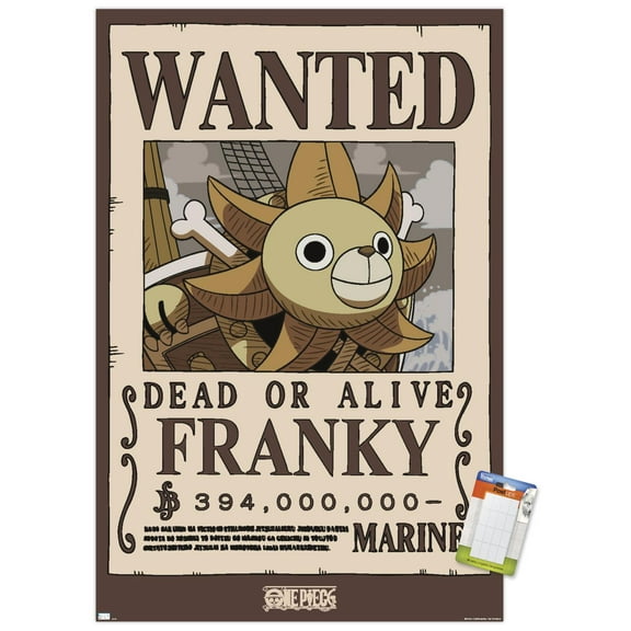 One Piece - Franky Wanted Poster Wall Poster, 22.375" x 34"