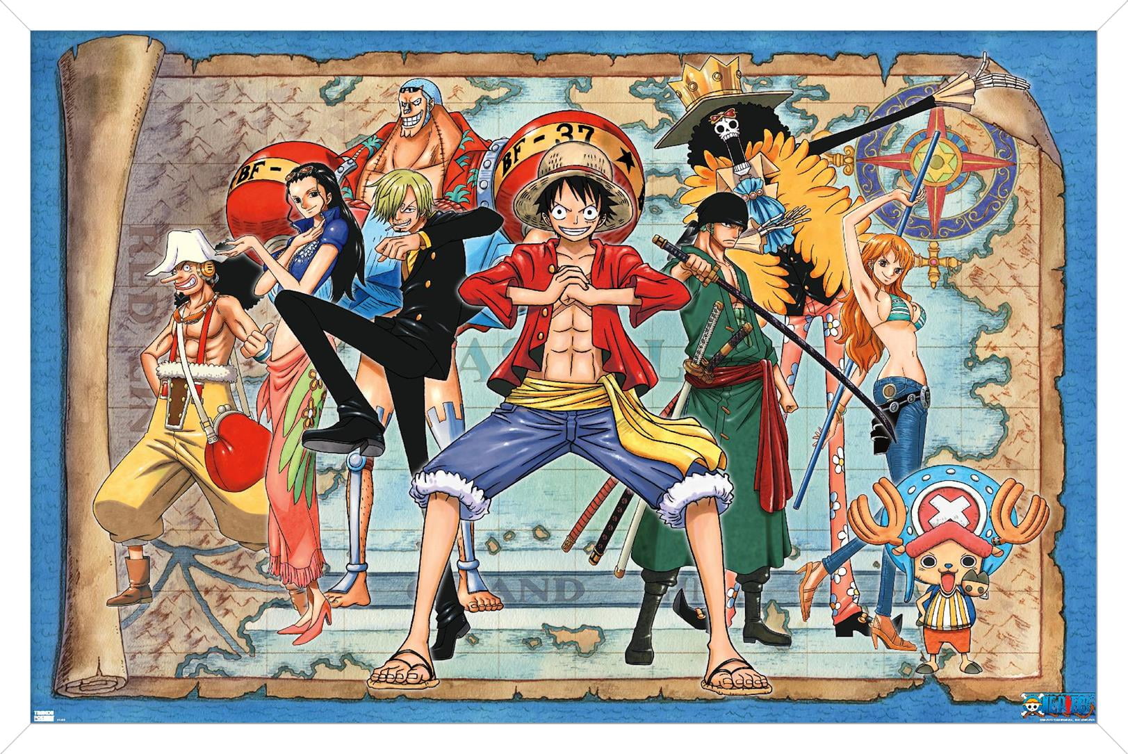 One Piece - Group Map Wall Poster, 14.725