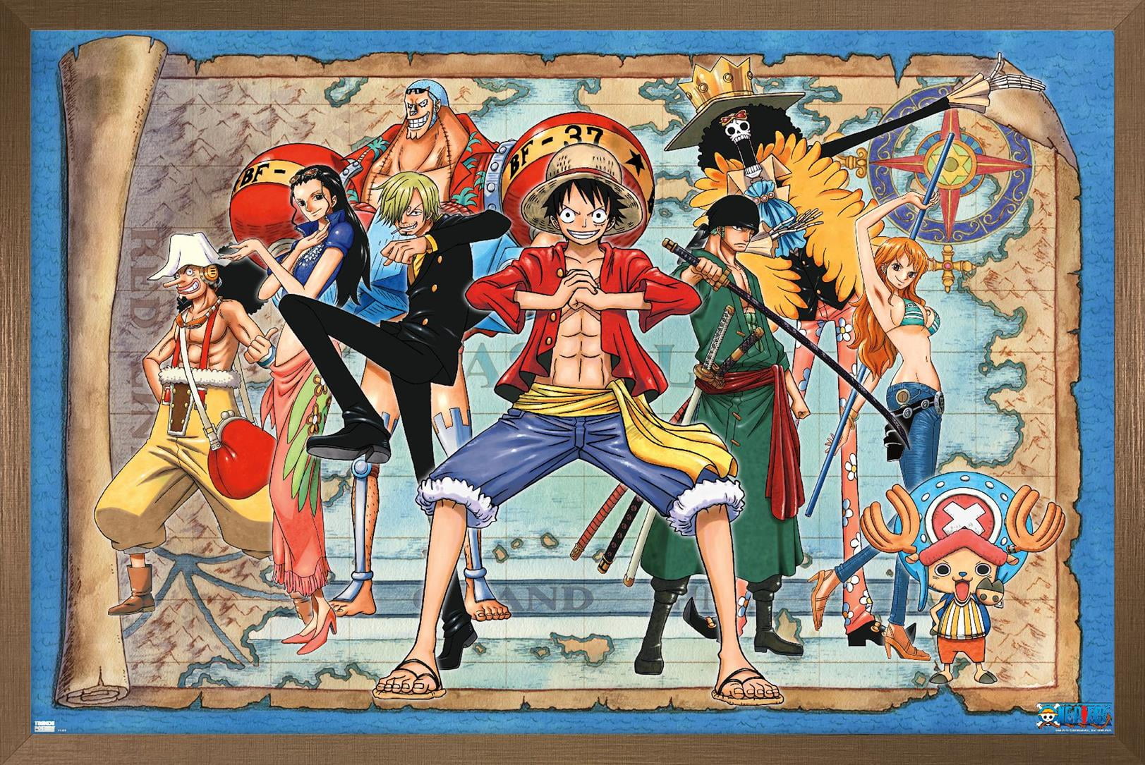One Piece - Group Map Wall Poster, 14.725