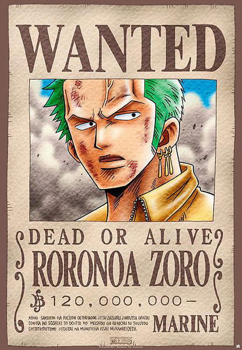 One Piece, Roronoa Zoro  Manga anime one piece, Zoro one piece