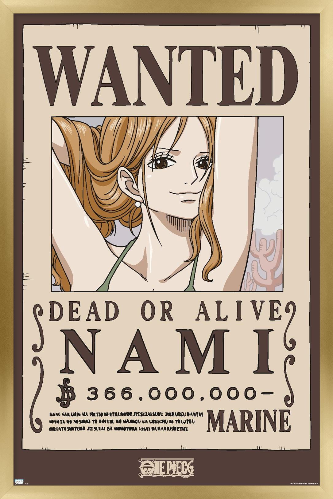 One Piece - Nami Wanted Poster Wall Poster, 14.725" x 22.375" Framed