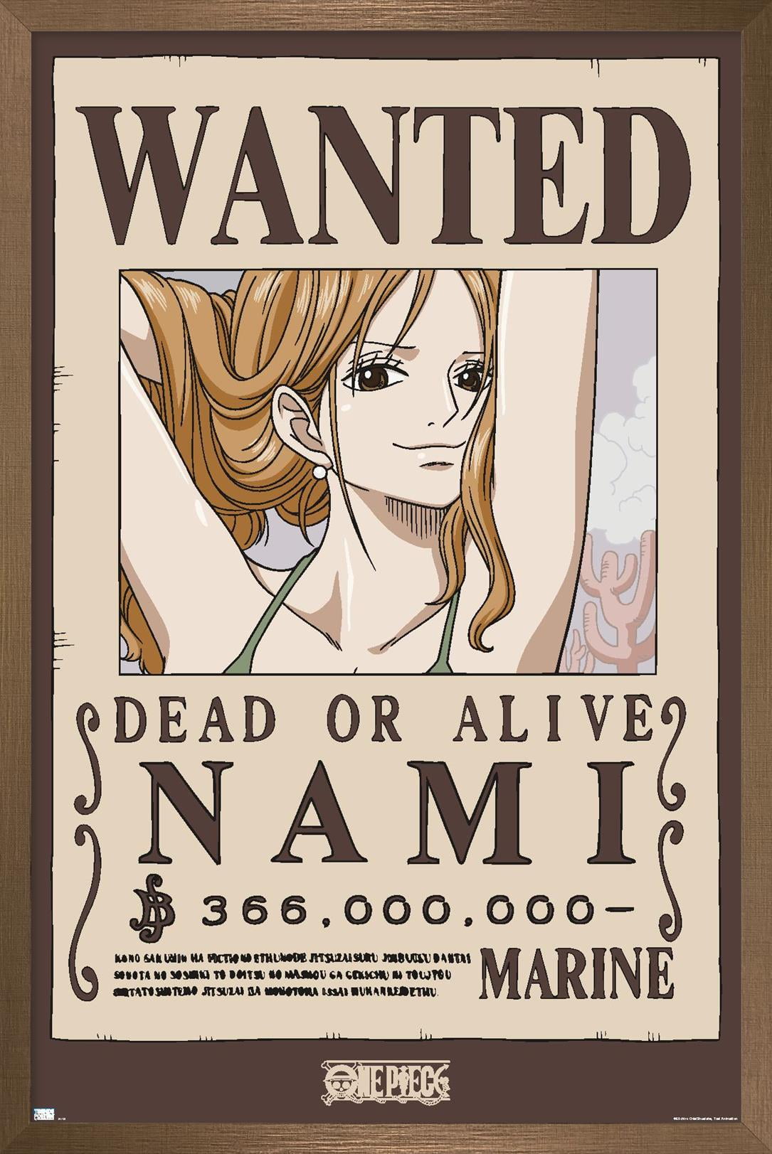 One Piece - Nami Wanted Poster Wall Poster, 14.725" x 22.375" Framed
