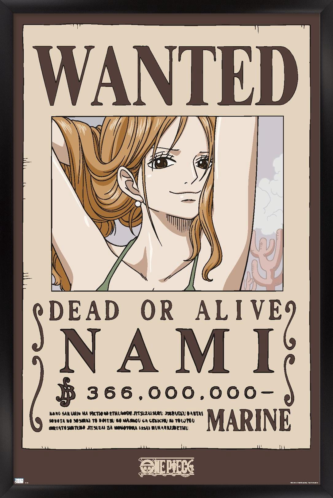 One Piece - Nami Wanted Poster Wall Poster, 14.725" x 22.375" Framed
