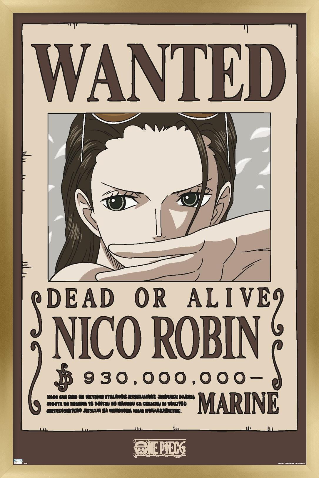 One-Piece-Nico-Robin-Wanted-