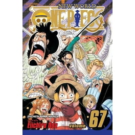 ONE PIECE 65巻 Amazon.co.jp: ONE PIECE カラー版 65 (ジャンプコミックス