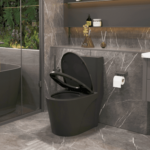 Matte Black Ceramic Dual-Flush Elongated Toilet with Soft Close Seat