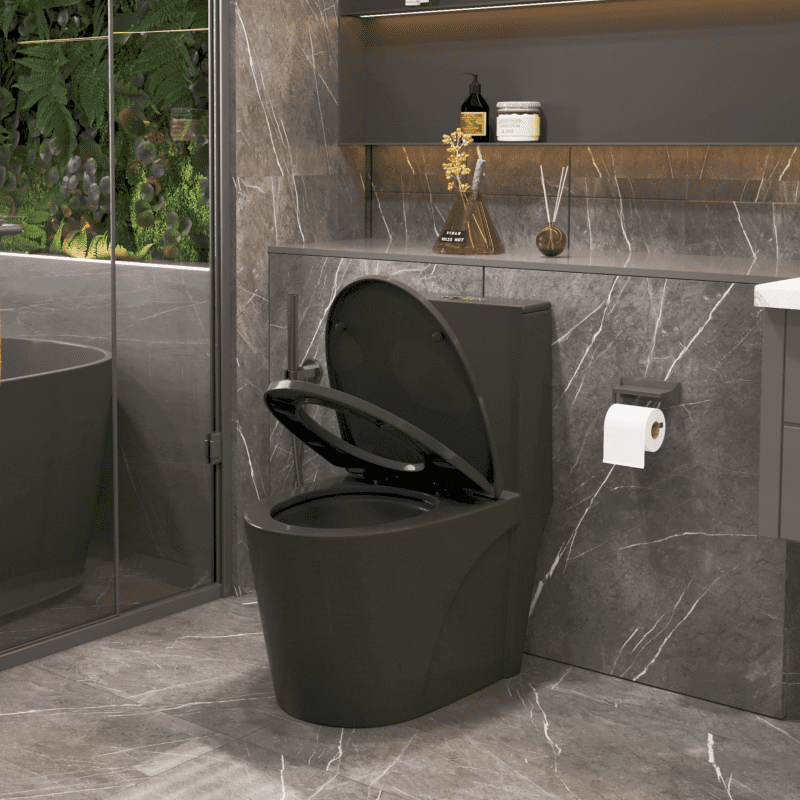 Matte Black Ceramic Dual-Flush Elongated Toilet with Soft Close Seat