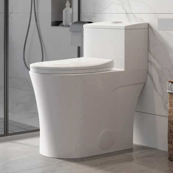 One Piece Toilet 10" Rough-in, Elongated Toilet with Comfortable Seat Height, ADA Chair Height 17.3", Dual Flush 0.8/1.28 GPF