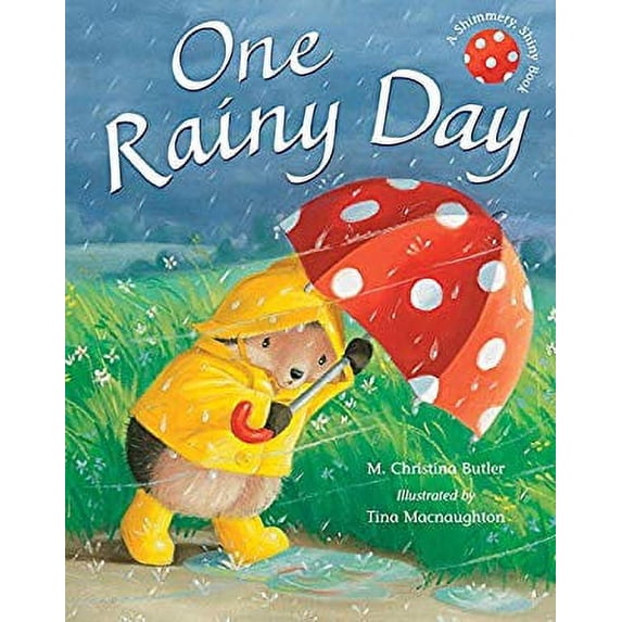 Pre-Owned One Rainy Day (A Shimmery, Shiny Book) Paperback