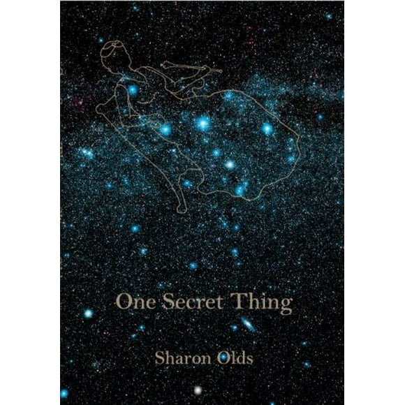 Pre-Owned One Secret Thing 9780375711770