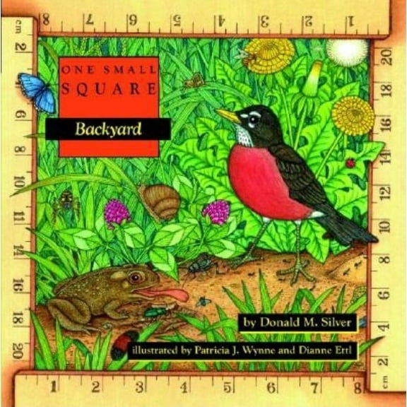 One Small Square Backyard, (Paperback)