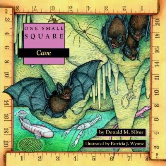One Small Square Cave, (Paperback)
