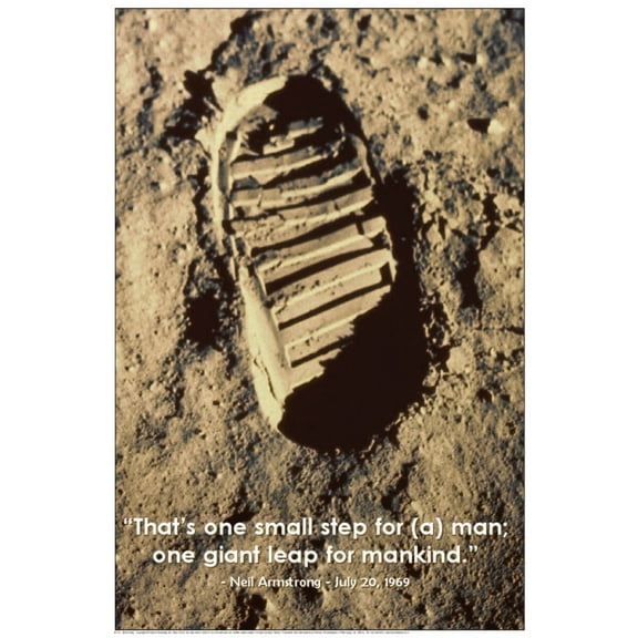 One Small Step Educational Poster 24x36
