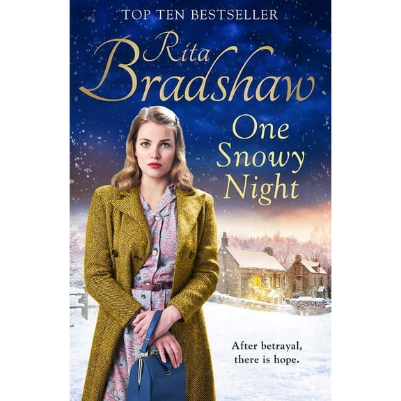 One Snowy Night (Hardcover)