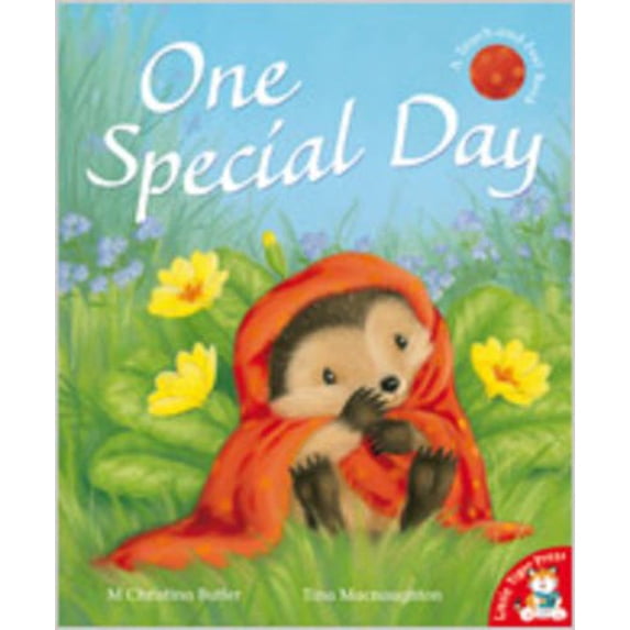 Pre-Owned One Special Day (Paperback) 1848950276 9781848950276