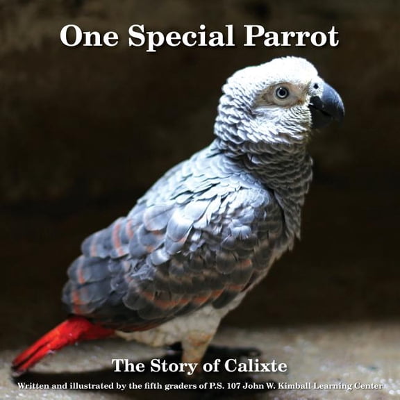 One Special Parrot: The Story of Calixte, (Paperback)
