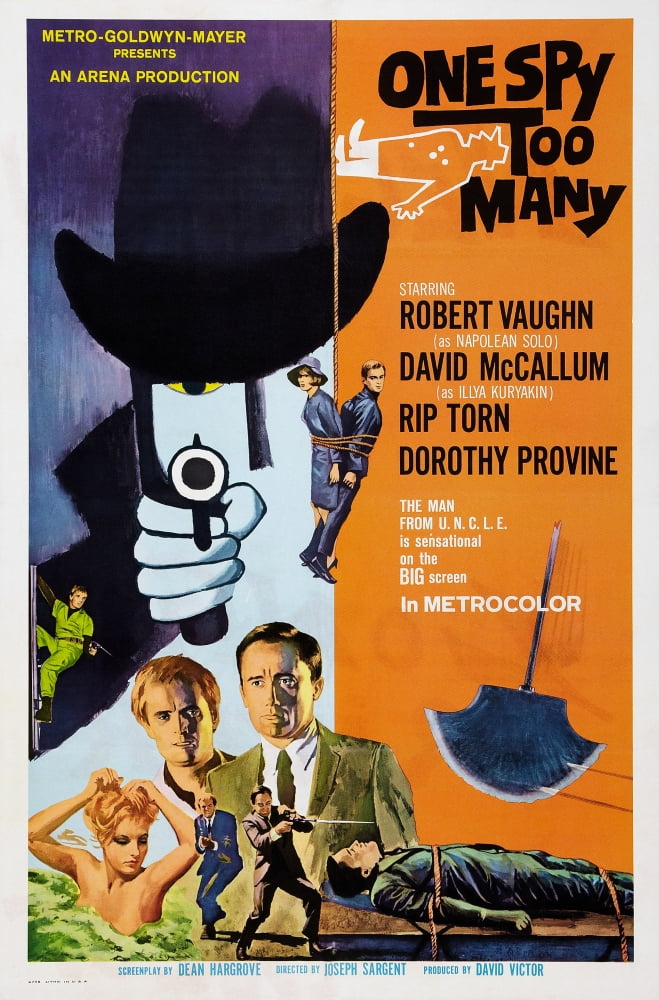 One Spy Too Many Canvas Art - (11 x 17)