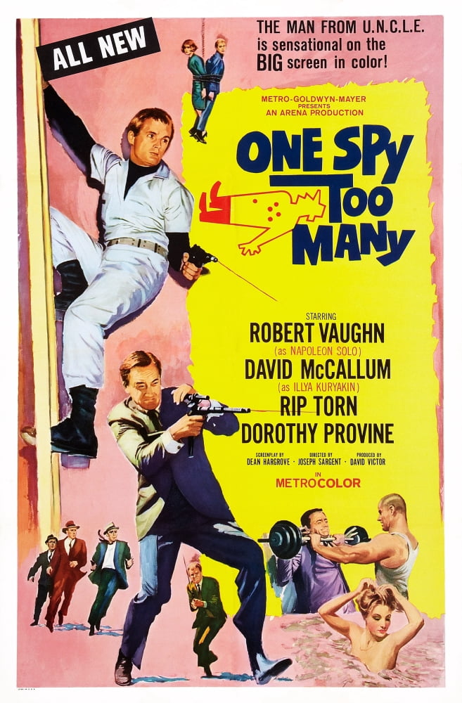 One Spy Too Many U Canvas Art - (11 x 17)