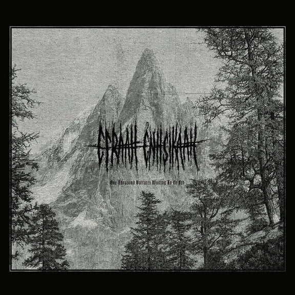 Efraah Enhsikaah One Thousand Vultures Waiting to Be Fed (CD) Album