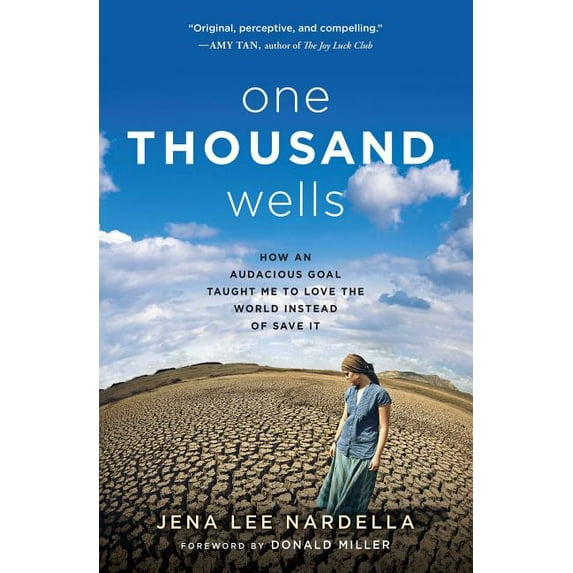 One Thousand Wells : How an Audacious Goal Taught Me to Love the World Instead of Save It (Paperback)