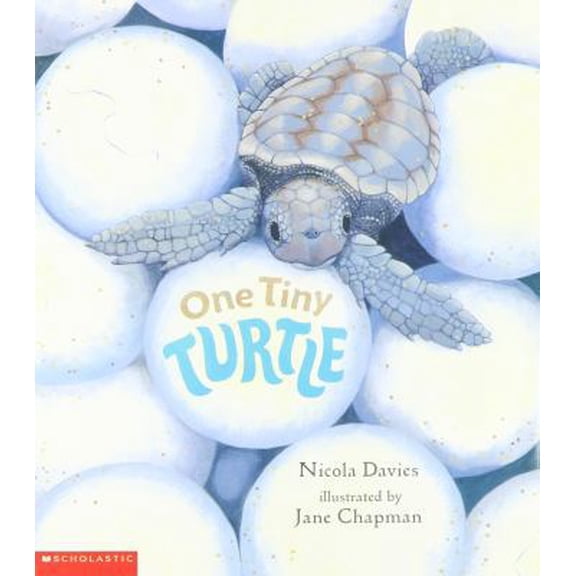 Pre-Owned One Tiny Turtle (Paperback) 0439429838 9780439429832