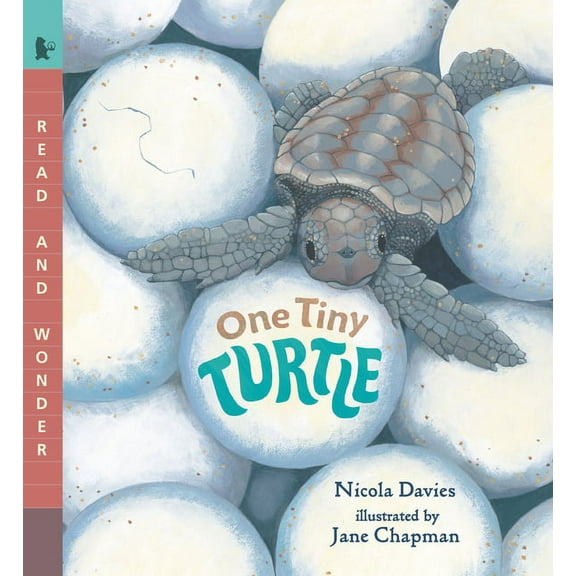 Read and Wonder One Tiny Turtle: Read and Wonder, (Paperback)