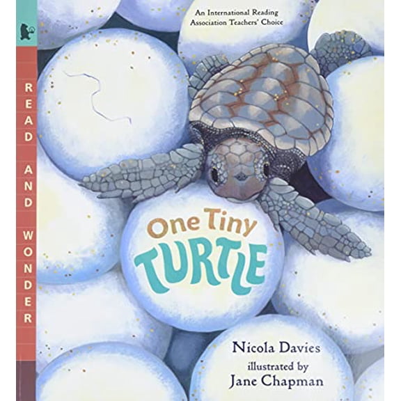 Pre-Owned One Tiny Turtle: Read and Wonder (Paperback) 0763623113 9780763623111