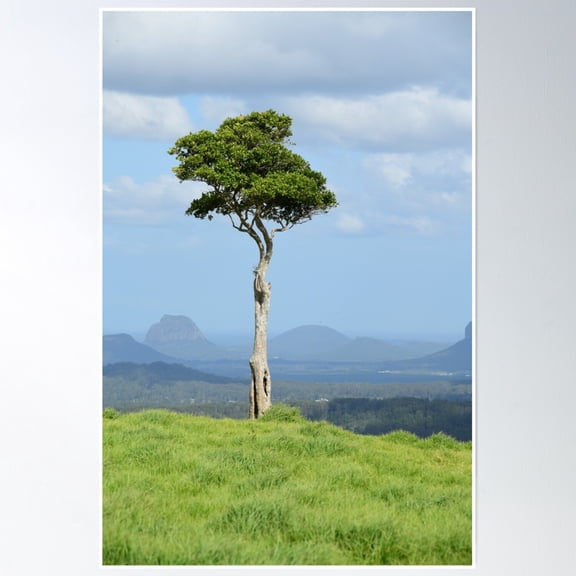 One Tree On The Hill Poster Wall Art, Modern Wall Decor, 8x12 UNFRAMED
