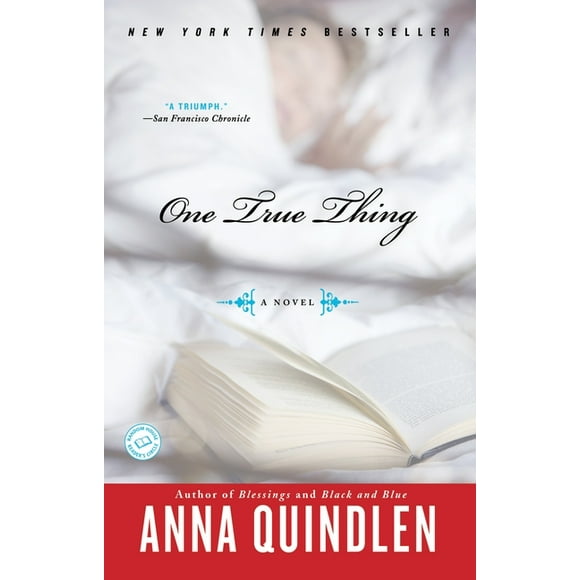 One True Thing : A Novel (Paperback)