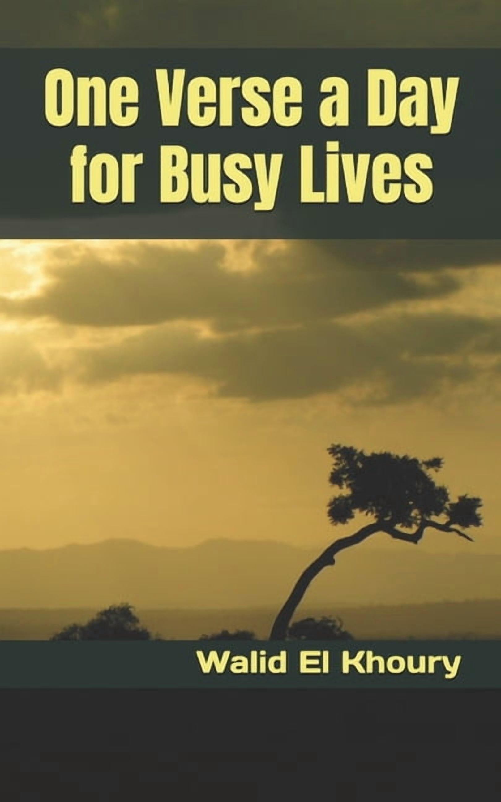 One Verse a Day for Busy Lives, (Paperback)