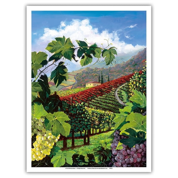 One Vine Day - Tuscany - Italy - Wine Country Vineyard - From an Original Color Painting by Scott Westmoreland - Master Art Print (Unframed) 9in x 12in