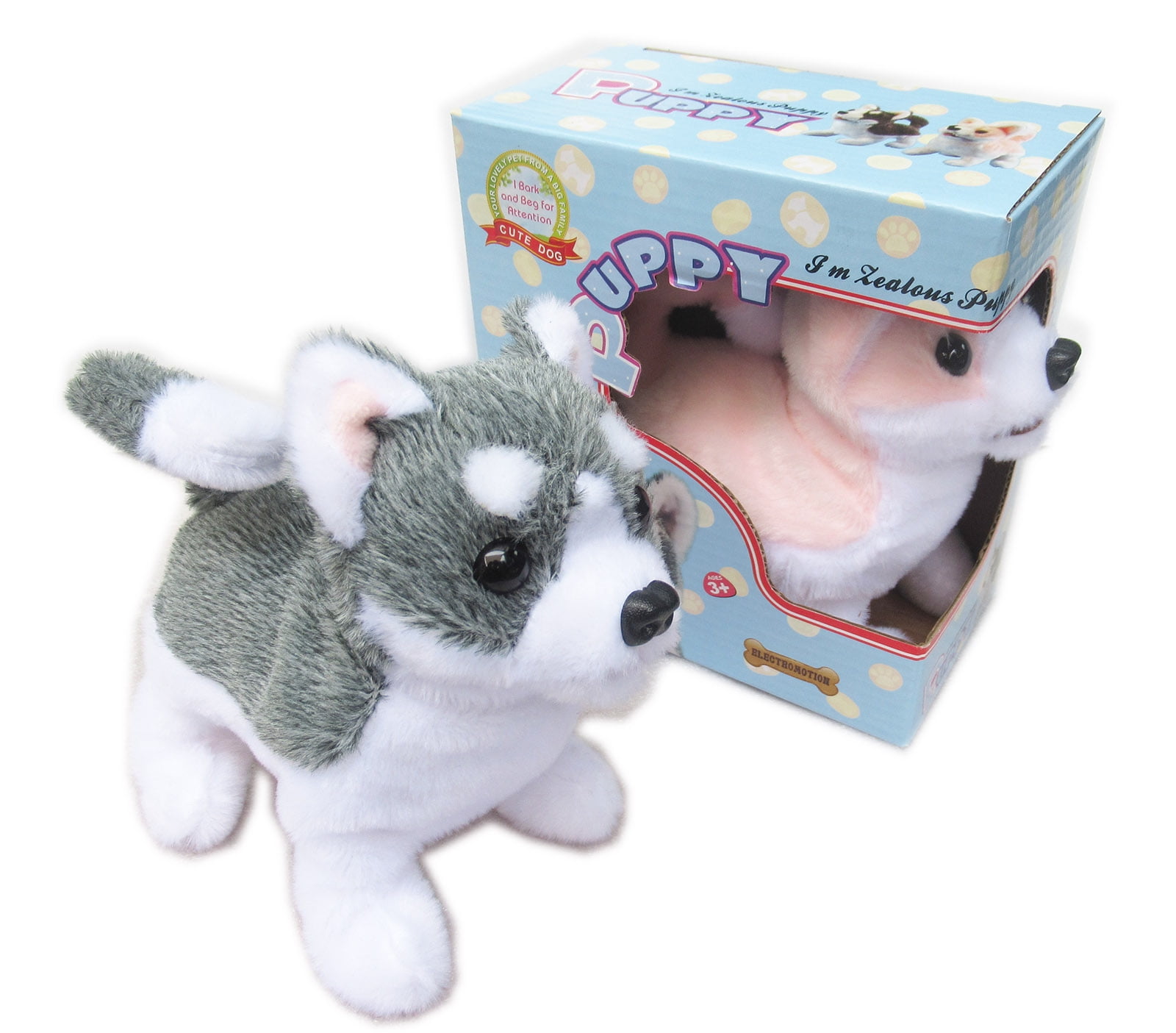 One Walking Sounding Baby Pubby Husky Sennenhund Cattle Dog