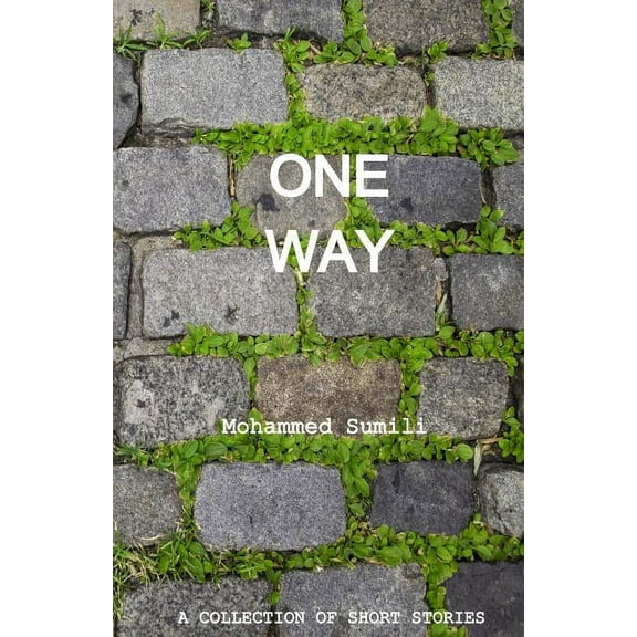 One Way : A Collection of Short Stories (Paperback)
