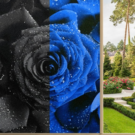 One Way Window Privacy Film Frosted Glass Window Tint Sun Blocking&Heat Control Non-Adhesive Mirror Static Cling Glare Reduction Anti-UV Removable for Home Office Black Blue Rose (1)(1)(1)
