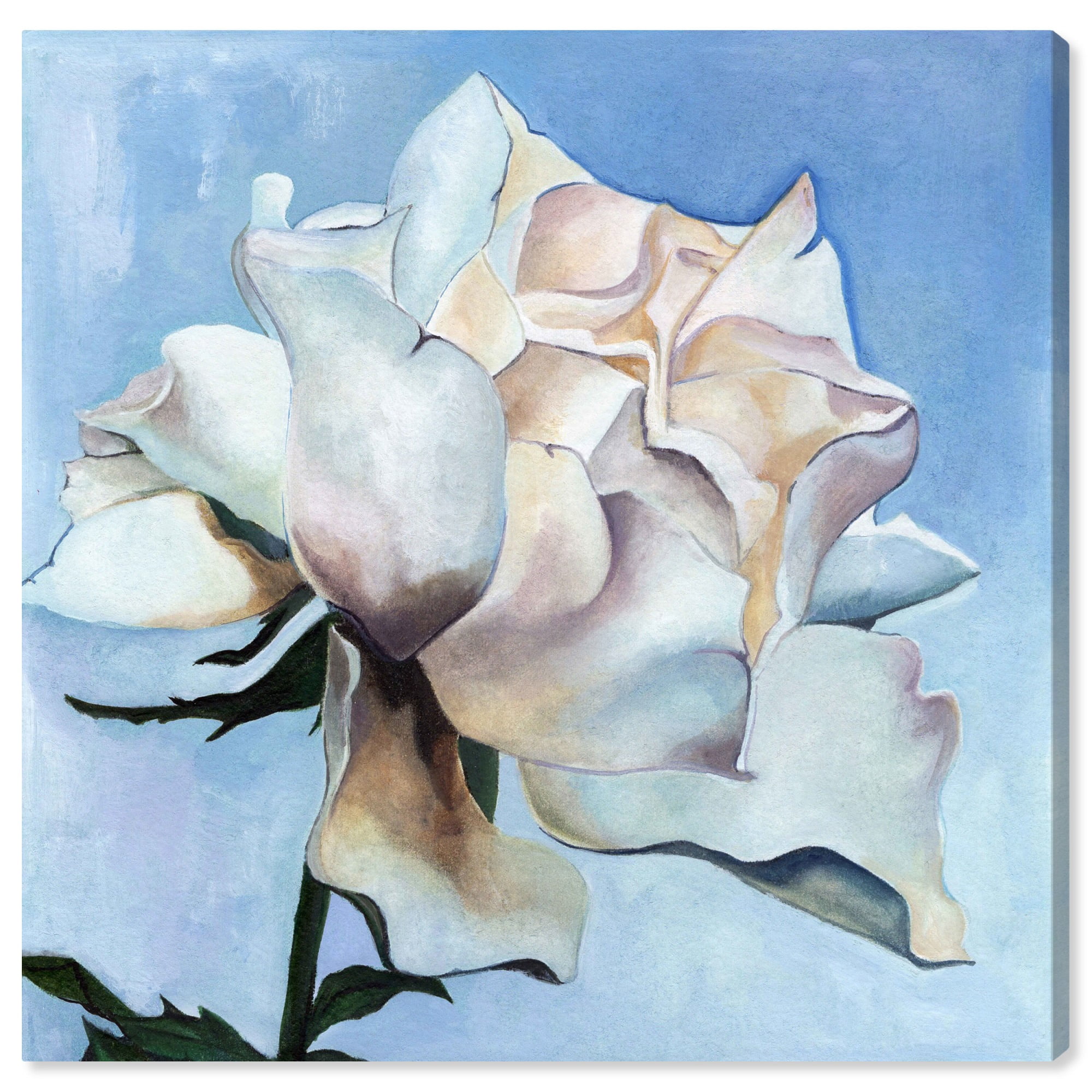 White Rose on Canvas with Light Blue Background, 12" x 12"