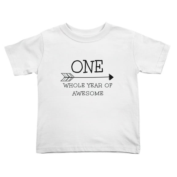 One Whole Year of Awesome Cute Toddler T Shirts for Boys Girls (White, Youth XL)