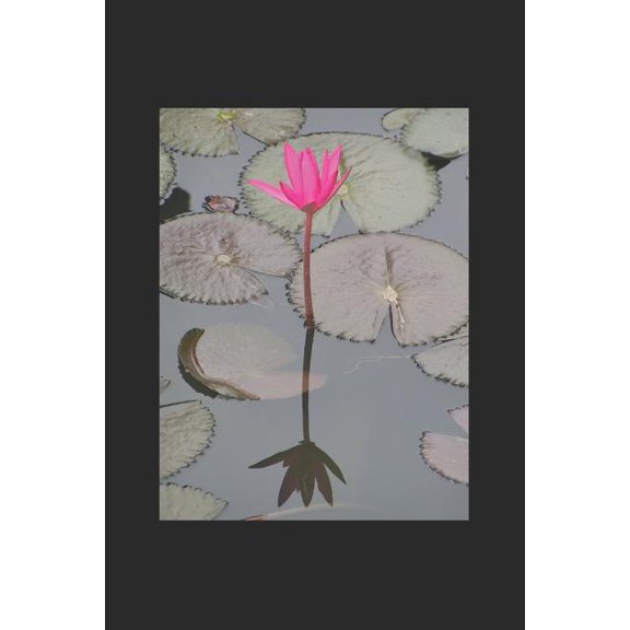 One Year Sermon Notes : Bible Companion (Paperback)