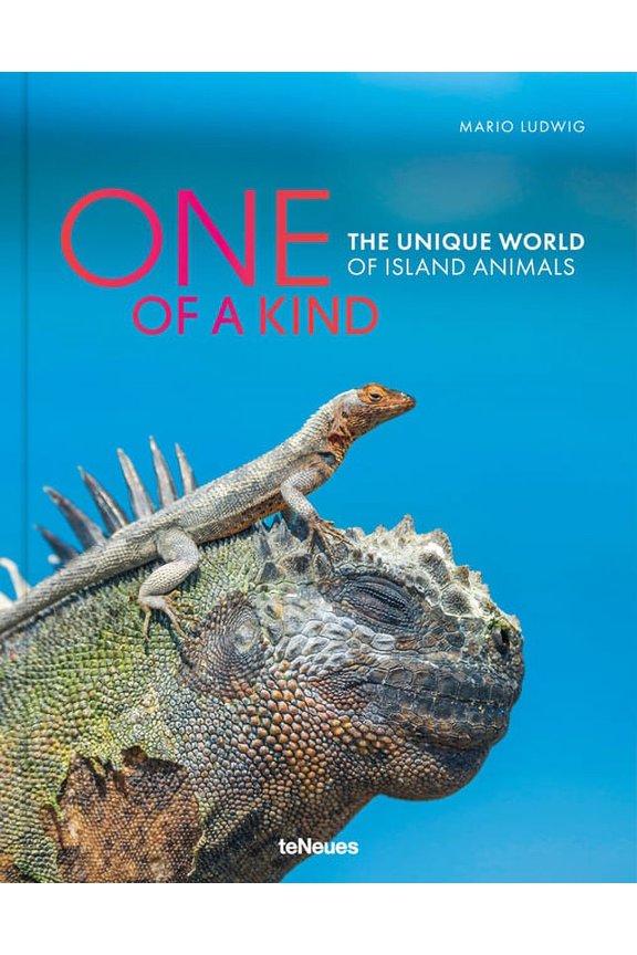 One of a Kind : The Unique World of Island Animals (Hardcover)