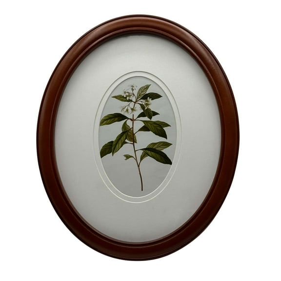 OneDesign Home 8X10 Oval Double Matte Wood Picture Frame