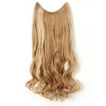 thumbnail image 1 of OneDor 20" Curly Transparent Wire Hair Extensions (27H613), 1 of 5
