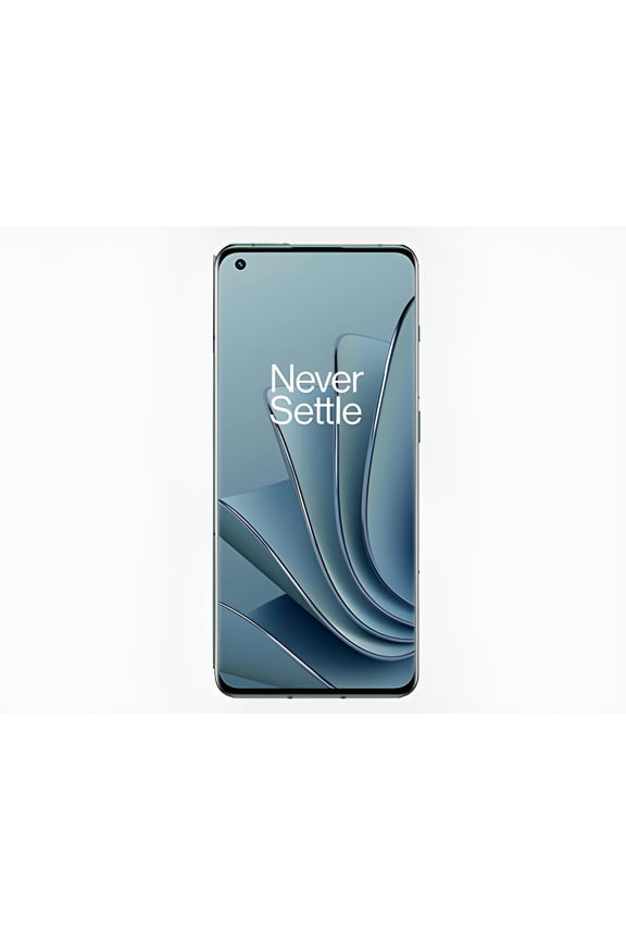 10 Pro 5G Dual SIM 256GB 8GB RAM GSM Unlocked - Green