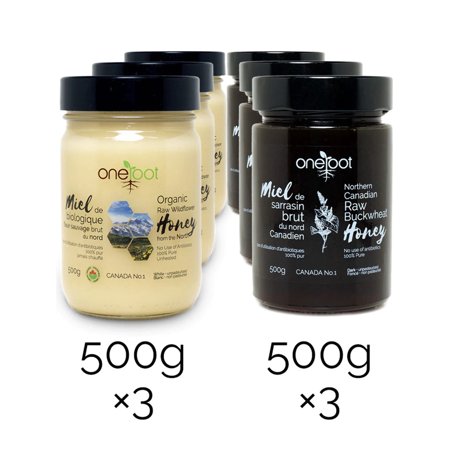 OneRoot Organic + Buckwheat Gift Box - Unpasteurized Canadian Honey - Raw, Non-GMO, Ethically Harvested, Enzyme-Rich, Tested Quality - Perfect Gourmet Gift Set