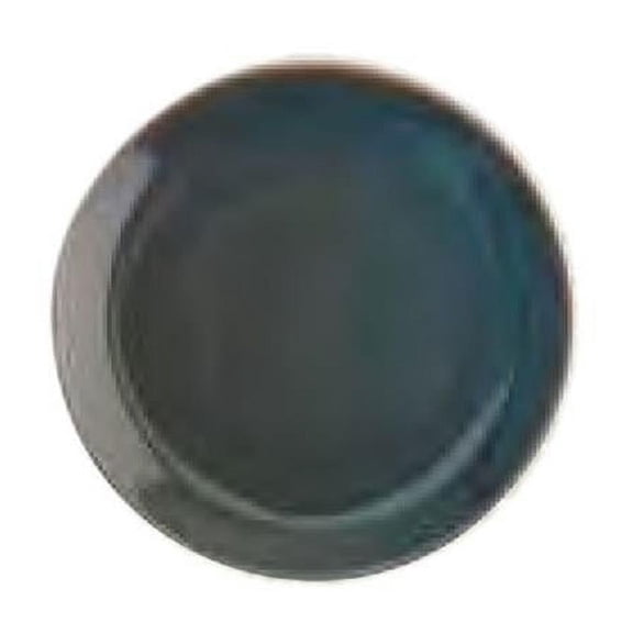 Oneida F1493020155 11 in. Porcelain Round Plate Dusk