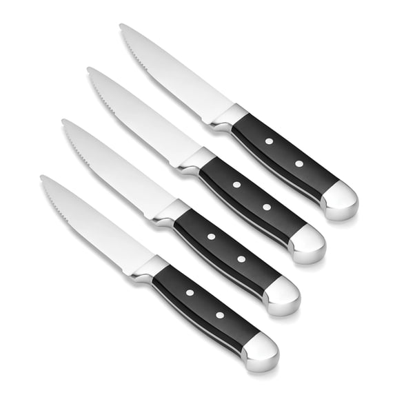 Oneida Jumbo 4-Piece Steak Knife Set